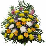 ҦʻԤ